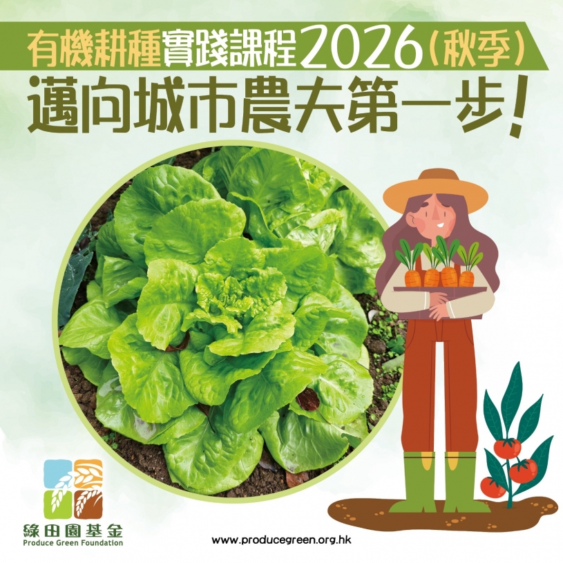 pgfcourse_practical_26b